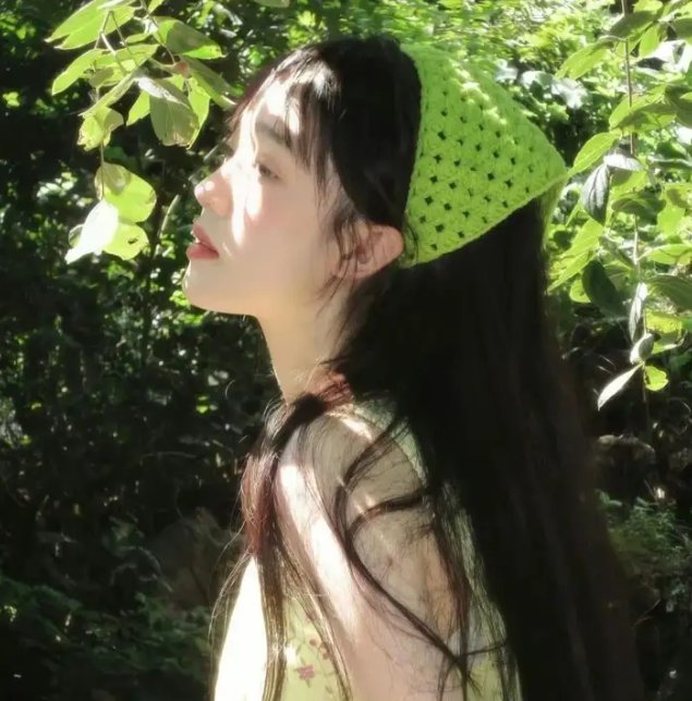 尼姆计划